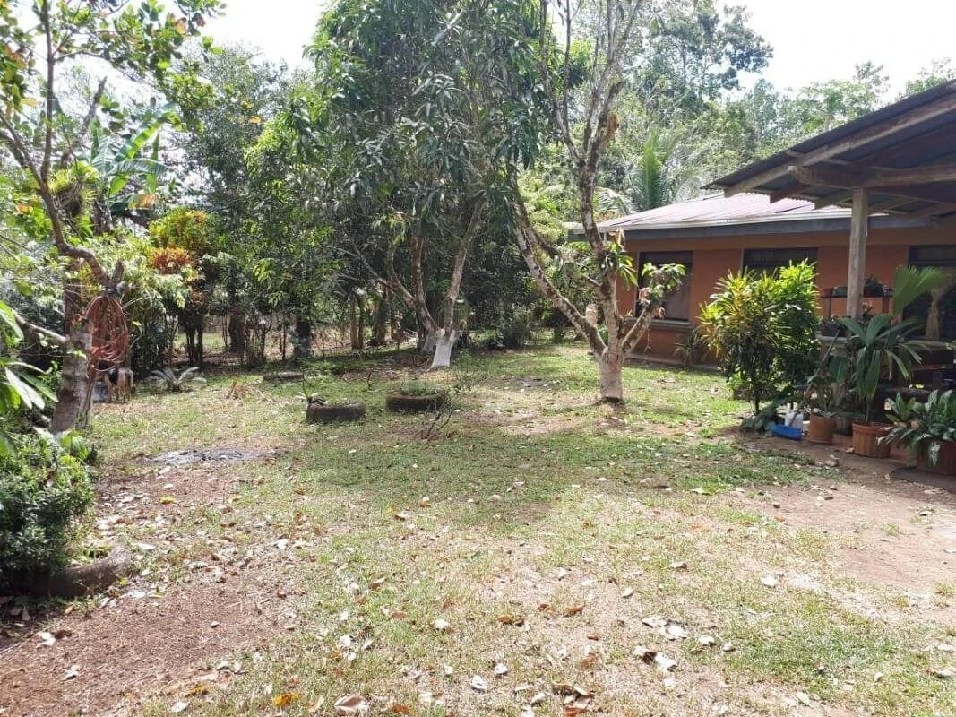 land for sale Alajuela San Carlos Pocosol Santa Maria Santa Rosa - Gallery image 3