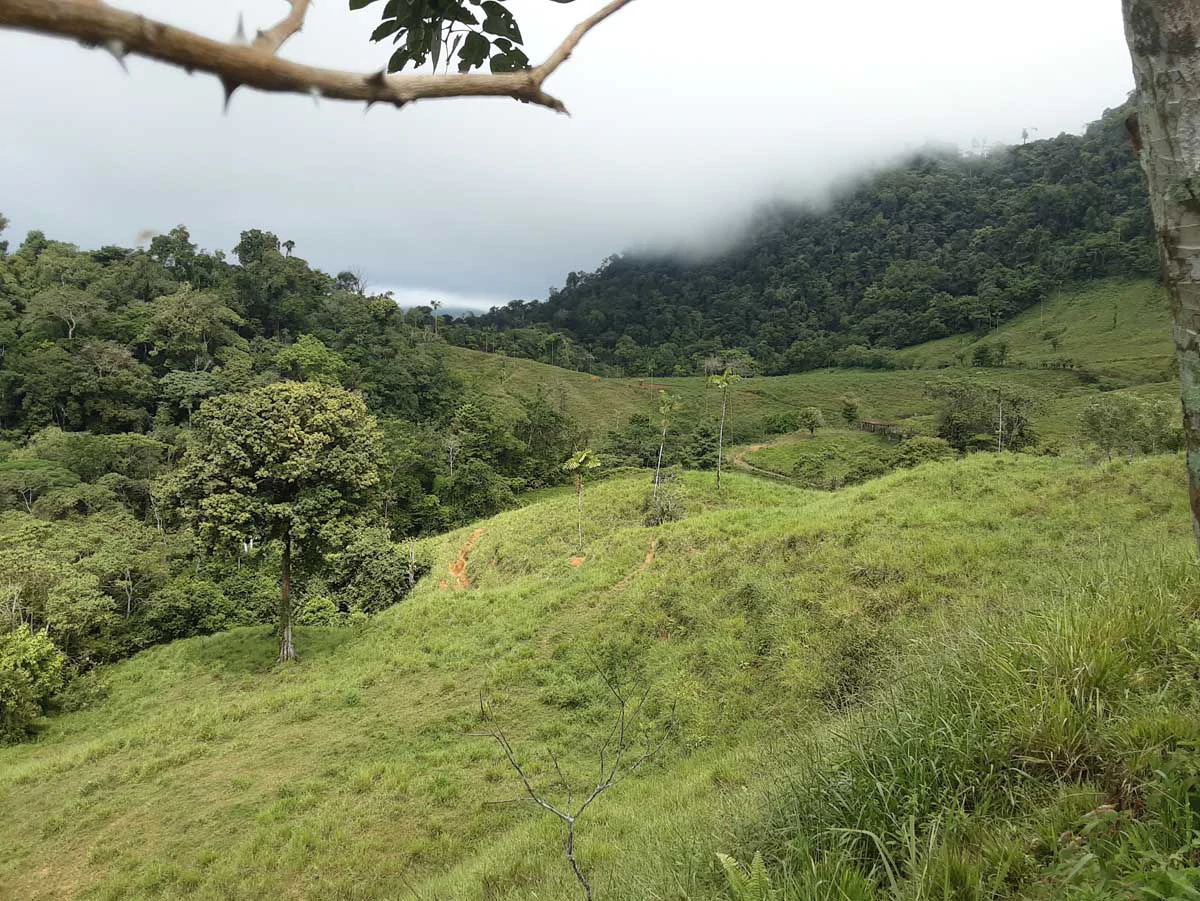 Finca Tesoro Escondido - The Jewel of Uvita - Gallery image 39