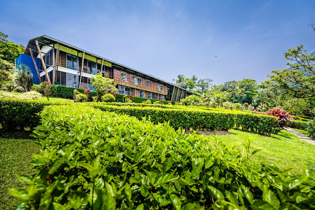 Celeste Mountain Lodge: Mountain Hotel/Resort/Hostel For Sale in Bijagua - Gallery image 57