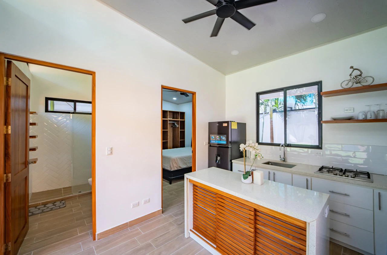 Modern Tropical Home with Guest Casita, Private Pool & Walk to Samara Beach - photo 20
