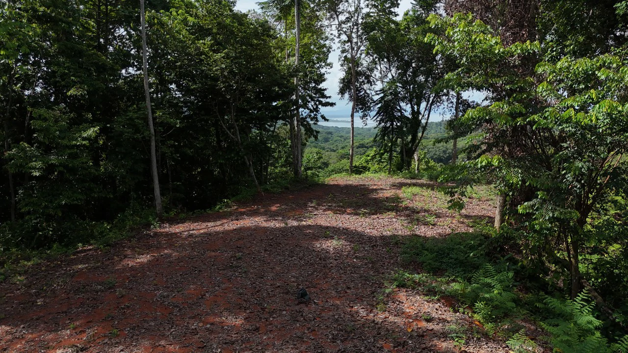 Spectacular Ocean view on 7.7 acres: Mountain Home Construction Site For Sale in Bahía Ballena - Gallery image 6