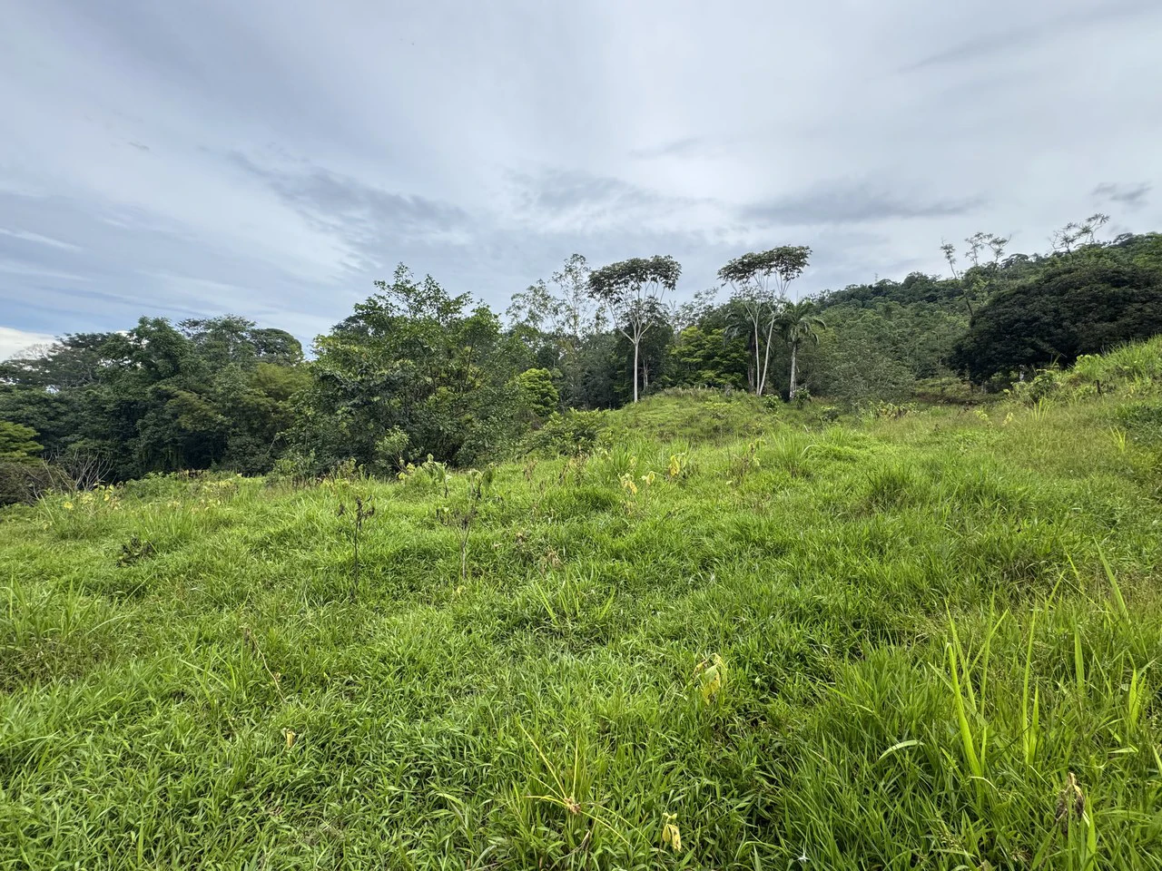 19 Acre Riverfront Lot with Private Waterfall la Perla Dominical - Gallery image 16
