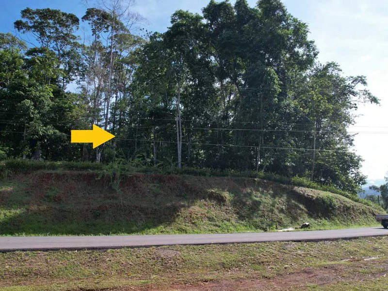 2.47 Acres Property | Mountain Top Ocean View lot in Bahía Chal - Gallery image 5