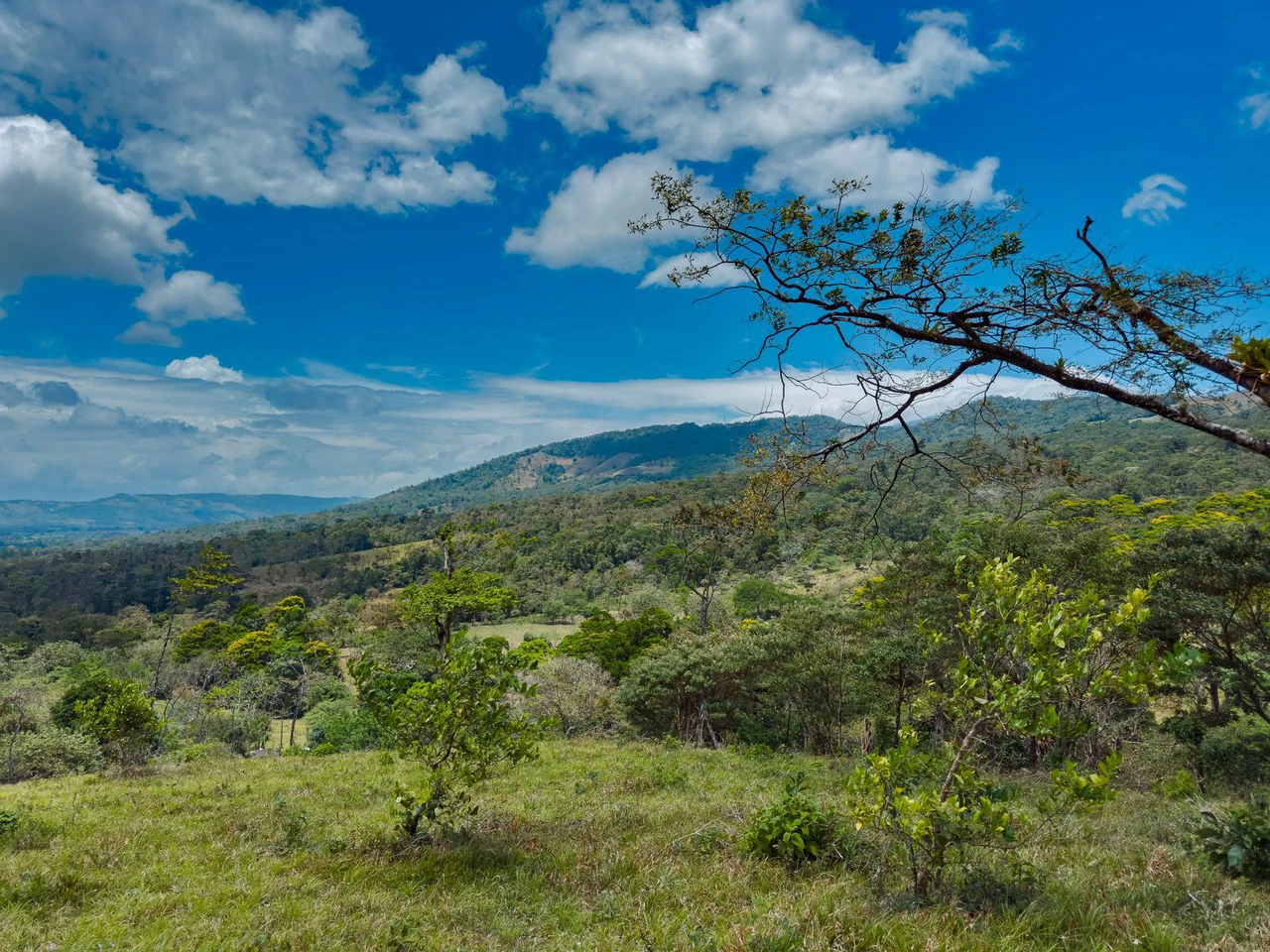 Finca Abuelo: Riverfront, Mountain and Countryside Agricultural Land For Sale in Aguas Claras - photo 7