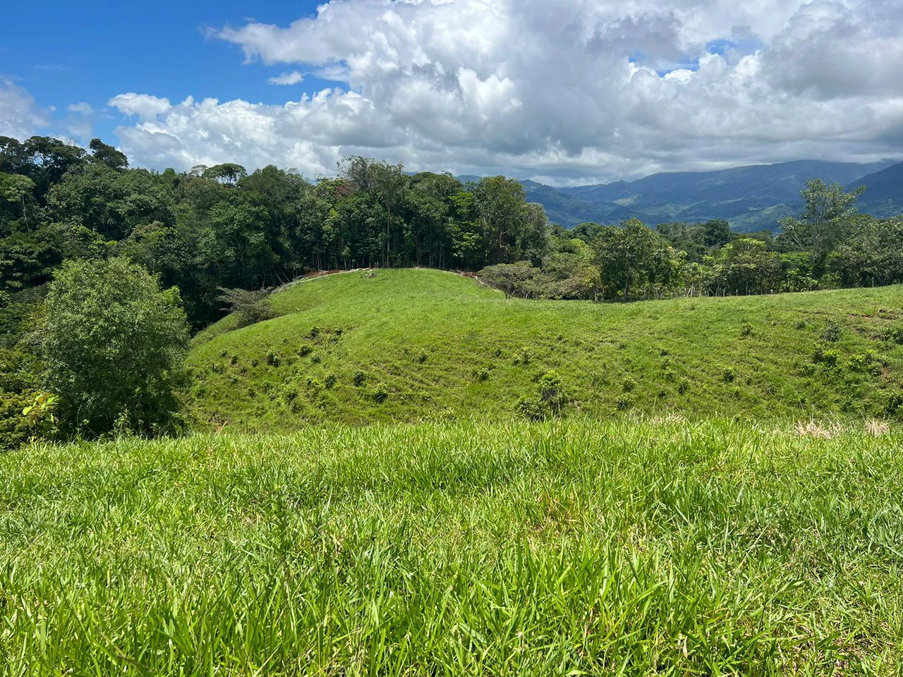 47 ACRES – Beautiful Mountain View Farm With Many Water Sources and Many Building Areas!!!! - Gallery image 4