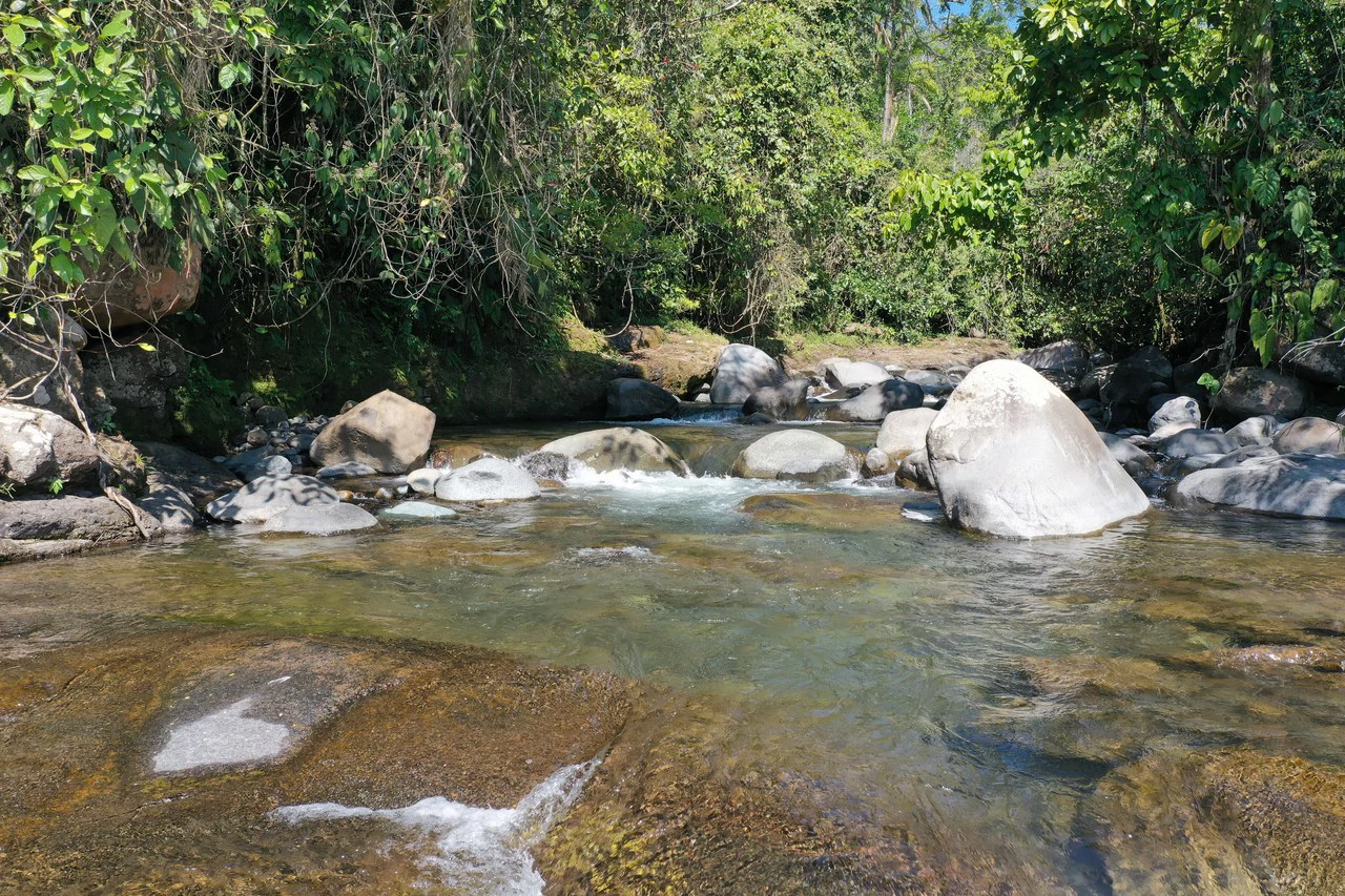 8 Acre Riverfront Sanctuary in San Pedrito Pérez Zeledón - Gallery image 11