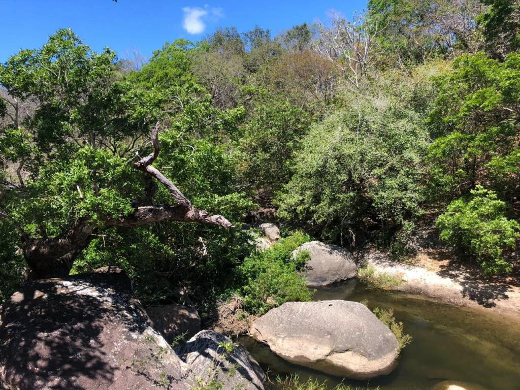 Big Farm: Property of 231 hectares in the Salto de Bagaces - Gallery image 17