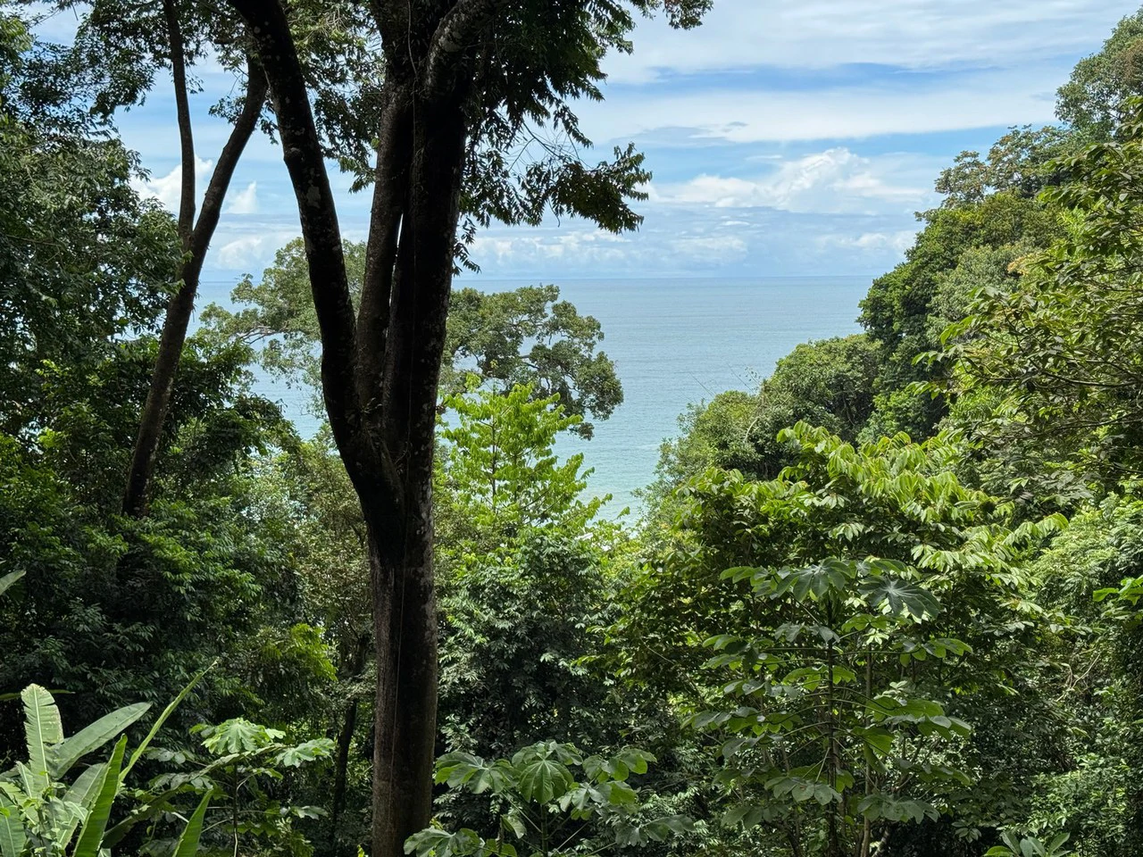 0.25 ACRES – Affordable Ocean View Property With Easy Access And Legal ASADA Water!!! - Gallery image 4