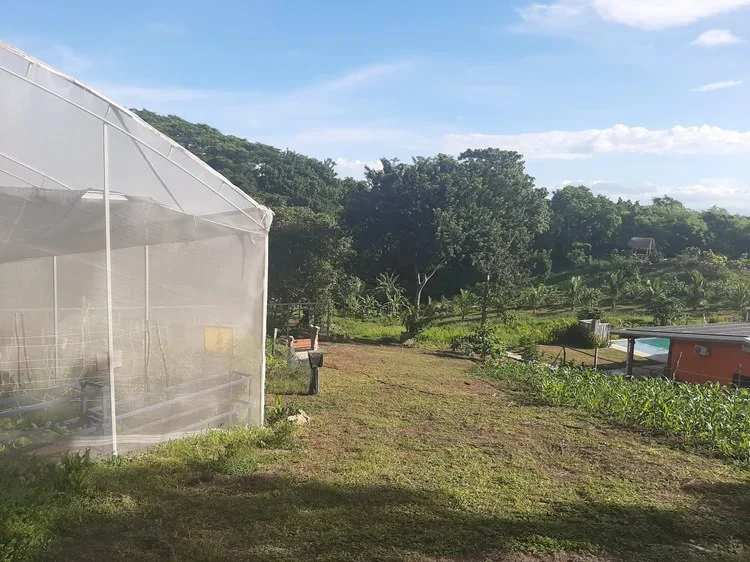 Organic Finca Eco Dreams: $799,000 USDOrganic Finca Eco Dreams – Sustainable Eco Farm for Sale Near Playa Naranjo, Costa Rica Luxury Self-Sustainable Farm, Solar-Powered Estate & Investment Property o - Gallery image 37