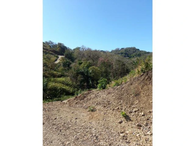 Builing Lots for sale in a pristine and peacefull woodland 3 km from Samara Beach - Gallery image 4