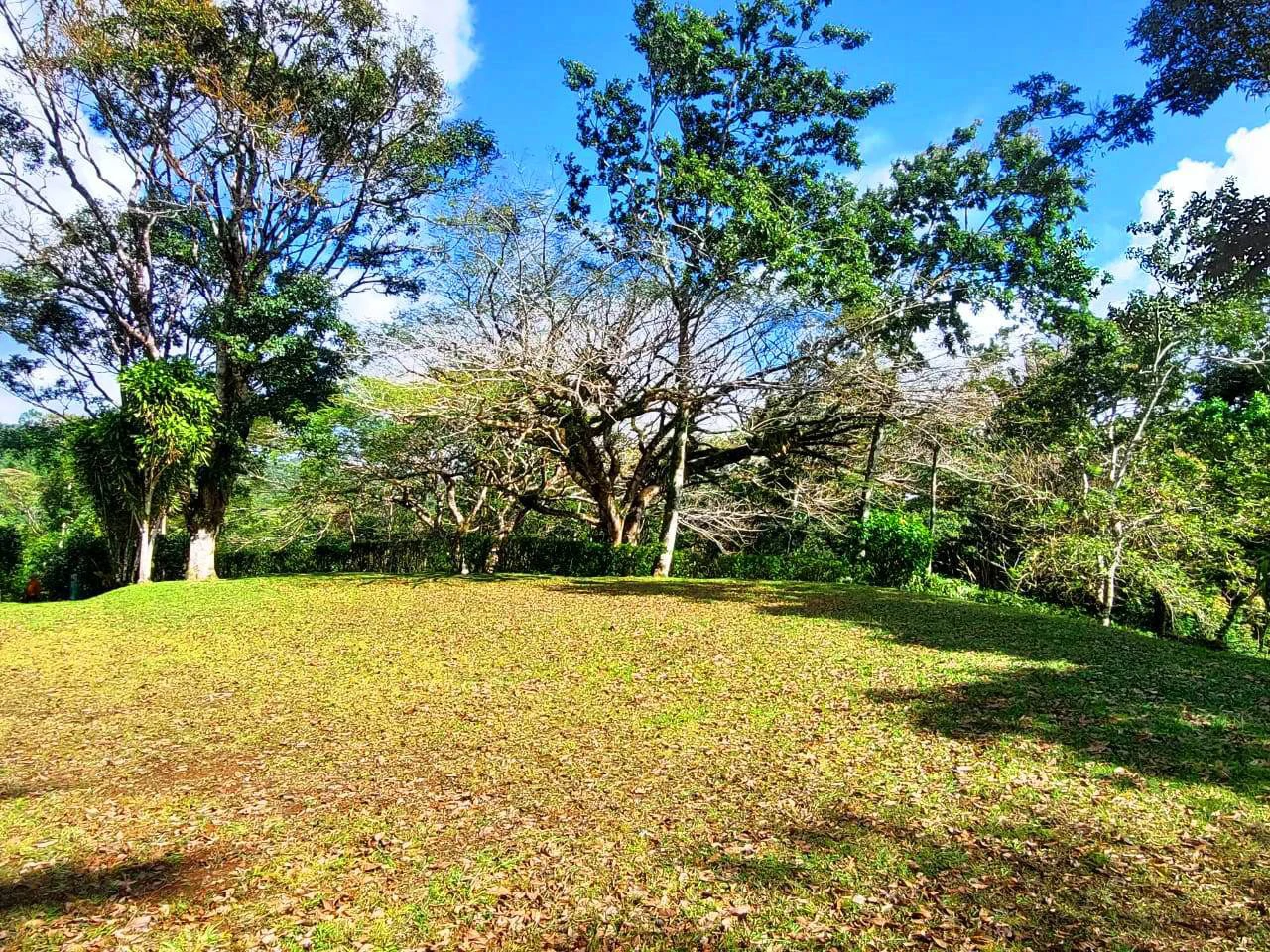 RAINBOW BAY - Beautiful 3.5 acre Lot in Gated Community - Gallery image 13
