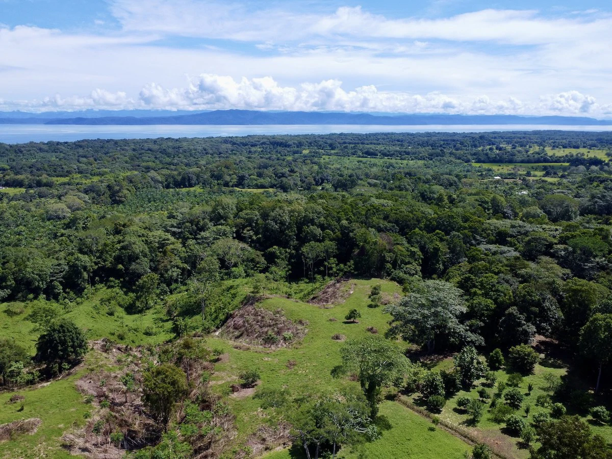 Ocean View Lot for Sale | Osa Peninsula | $120K (private community) - Gallery image 8