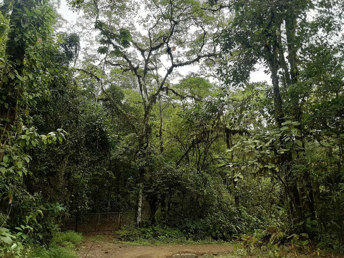 Finca Tesoro Escondido - The Jewel of Uvita - Gallery image 20
