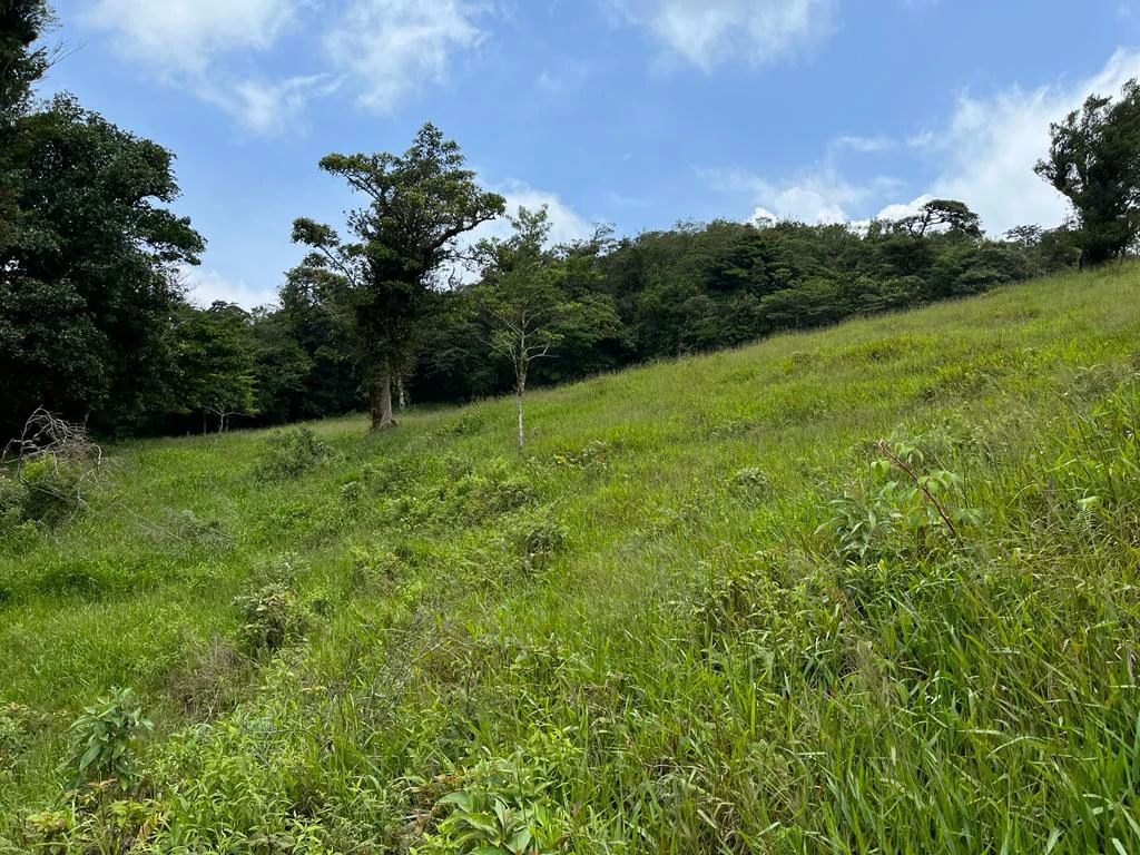 Fantastic property near Biological Reserve - Gallery image 27
