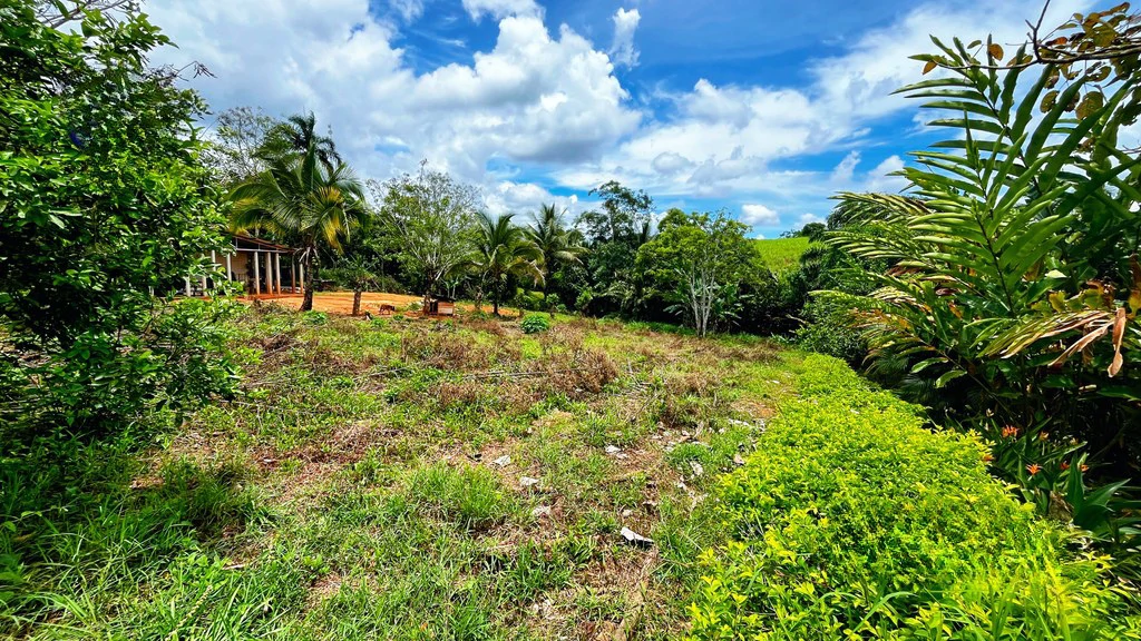 Home Construction Site For Sale in El Pilar - Gallery image 3