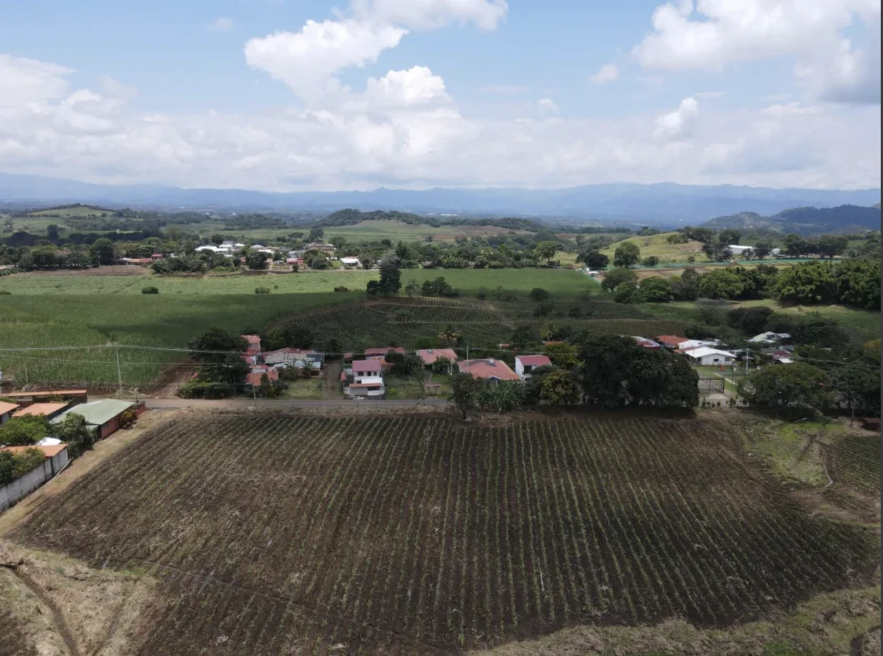 LAND FOR SALE, ALAJUELA, GRECIA - Gallery image 4