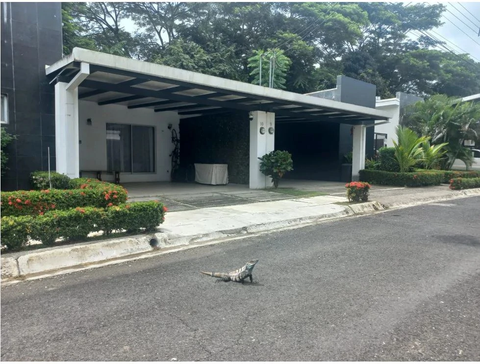 Residential Lot in Jacó, Garabito, Puntarenas: Your Opportunity to Build Your Ideal Home - photo 2