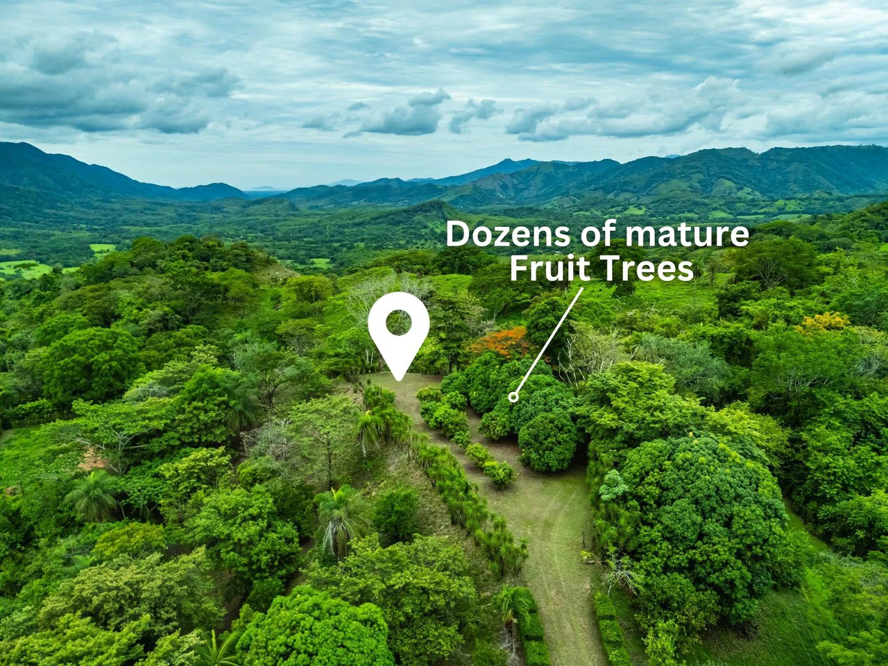 The Refuge: Ecological Lots in Hojancha Blue Zone - photo 3