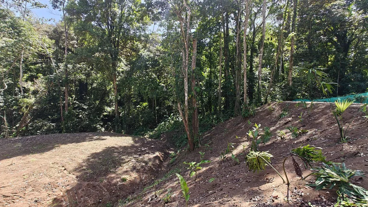 ID  1011: 7535m² Cahuita Land Near the Beach with Building Platform - Gallery image 7