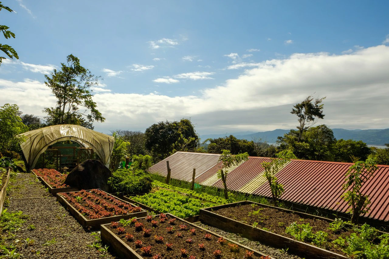 NATURES BOUNTY - Certified Organic Farm - Gallery image 2
