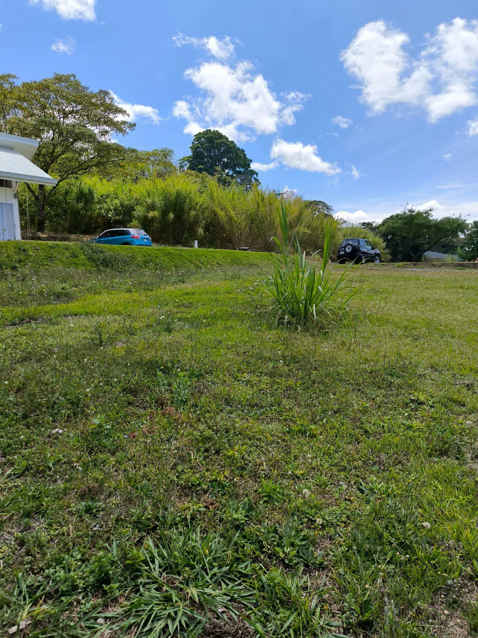 Lot for sale in San Miguel Grecia - Gallery image 2