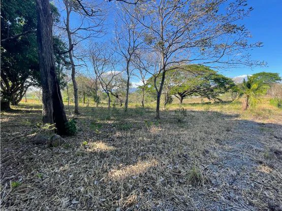 For Sale: This beautiful flat lot in La Ceiba of Orotina - Gallery image 12
