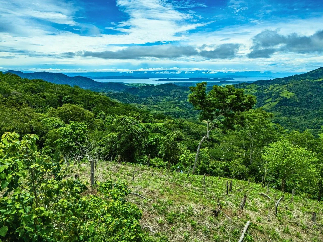 Gulf View Mountain Farm - Gallery image 4