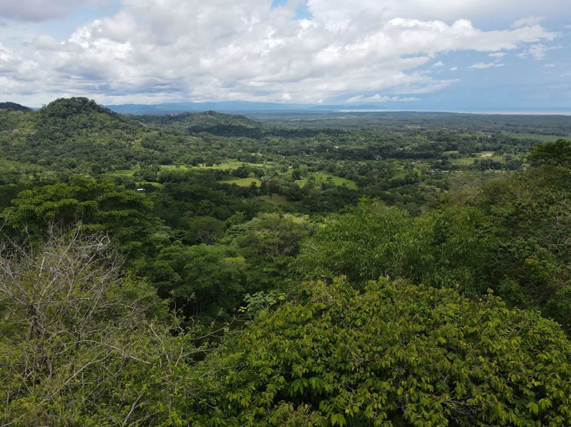 Panoramic 180 Degree Ocean View Lot Ready To Build Close To Ojochal - Gallery image 8