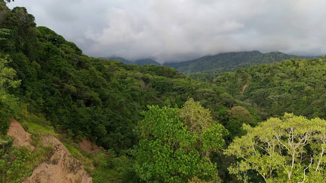 Stunning Ocean and Terraba River view property in Ojochal - Gallery image 28