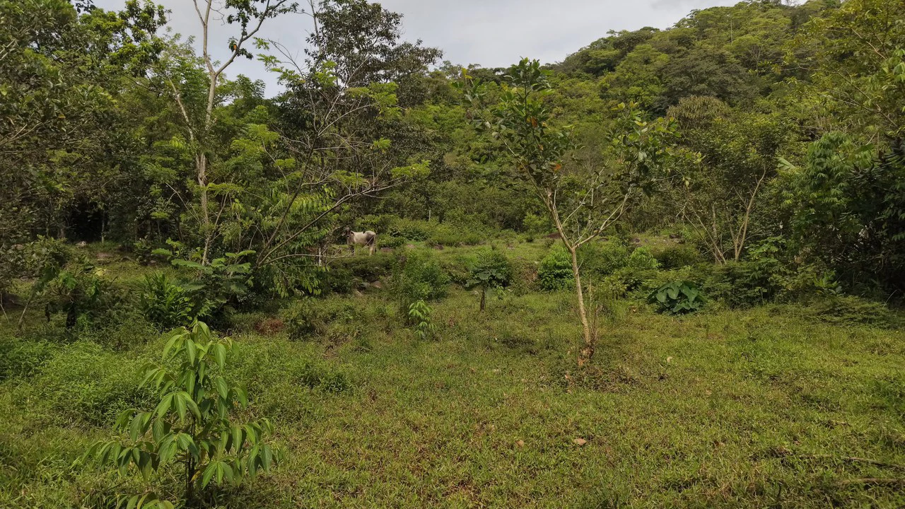 Mountain Home Construction Site For Sale in San Isidro del General - photo 7