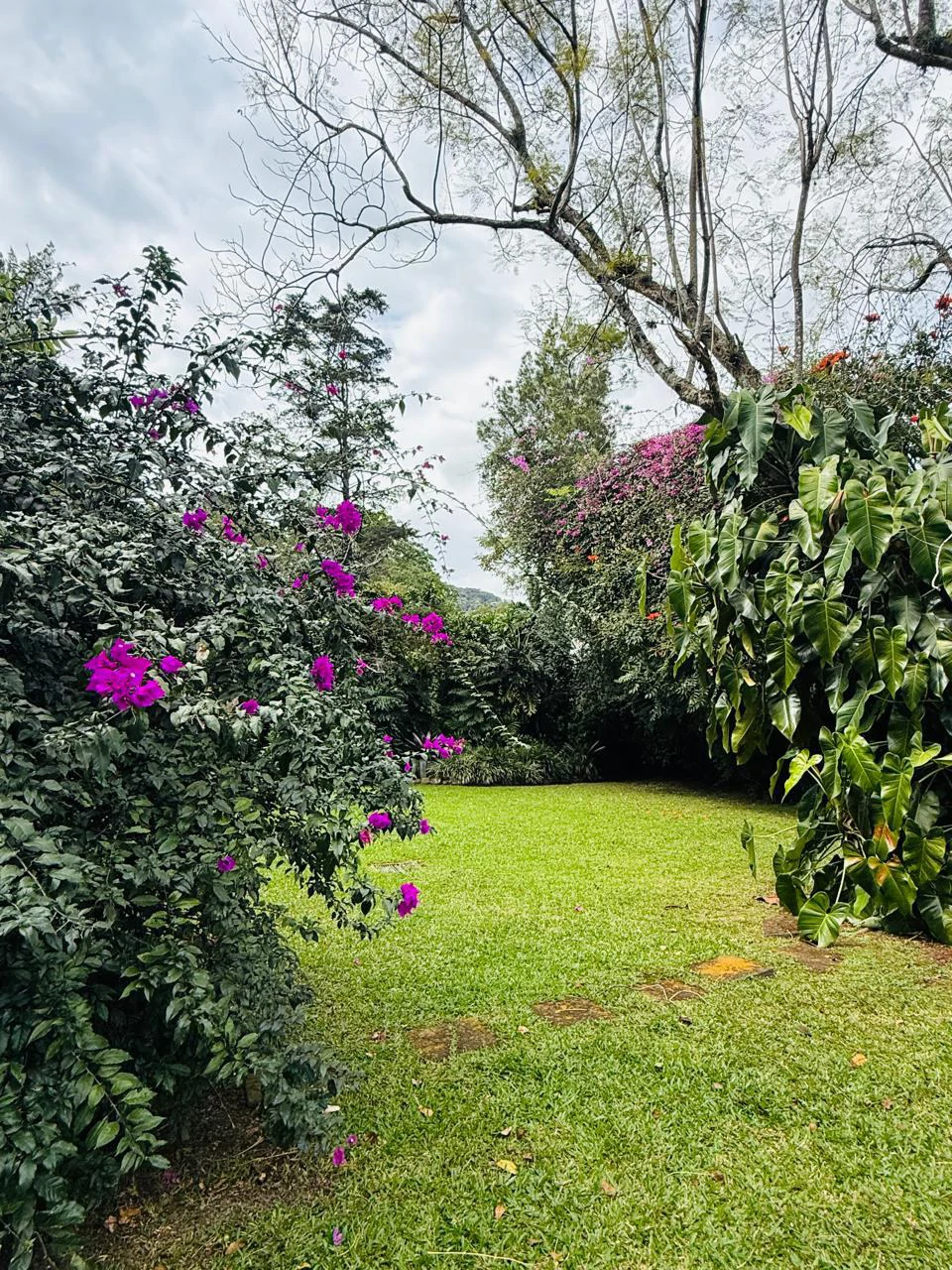 Detached single-family home for sale Costa Rica Escazu with big garden - Gallery image 26