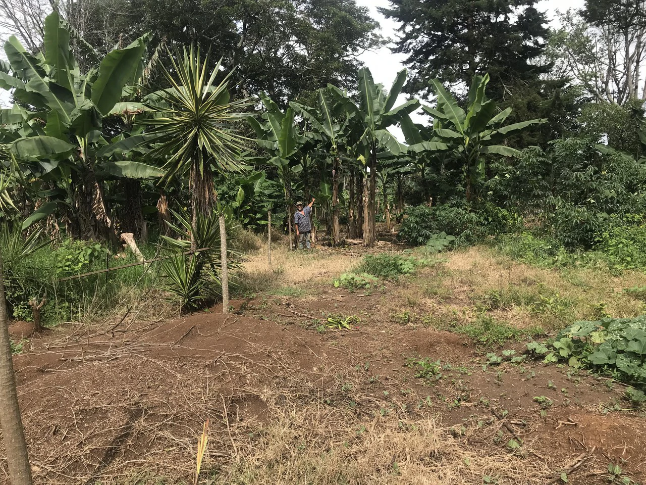 LOTES SAN ISIDRO HEREDIA: BEAUTIFUL LOTS IN SAN ISIDRO  HEREDIA