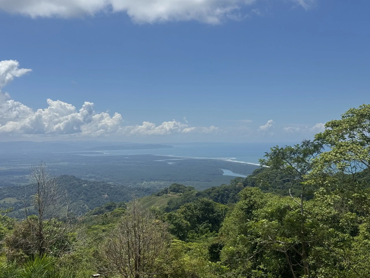 Ocean View Homesite with Panoramic Coastline Vistas in Ojochal - Gallery image 7