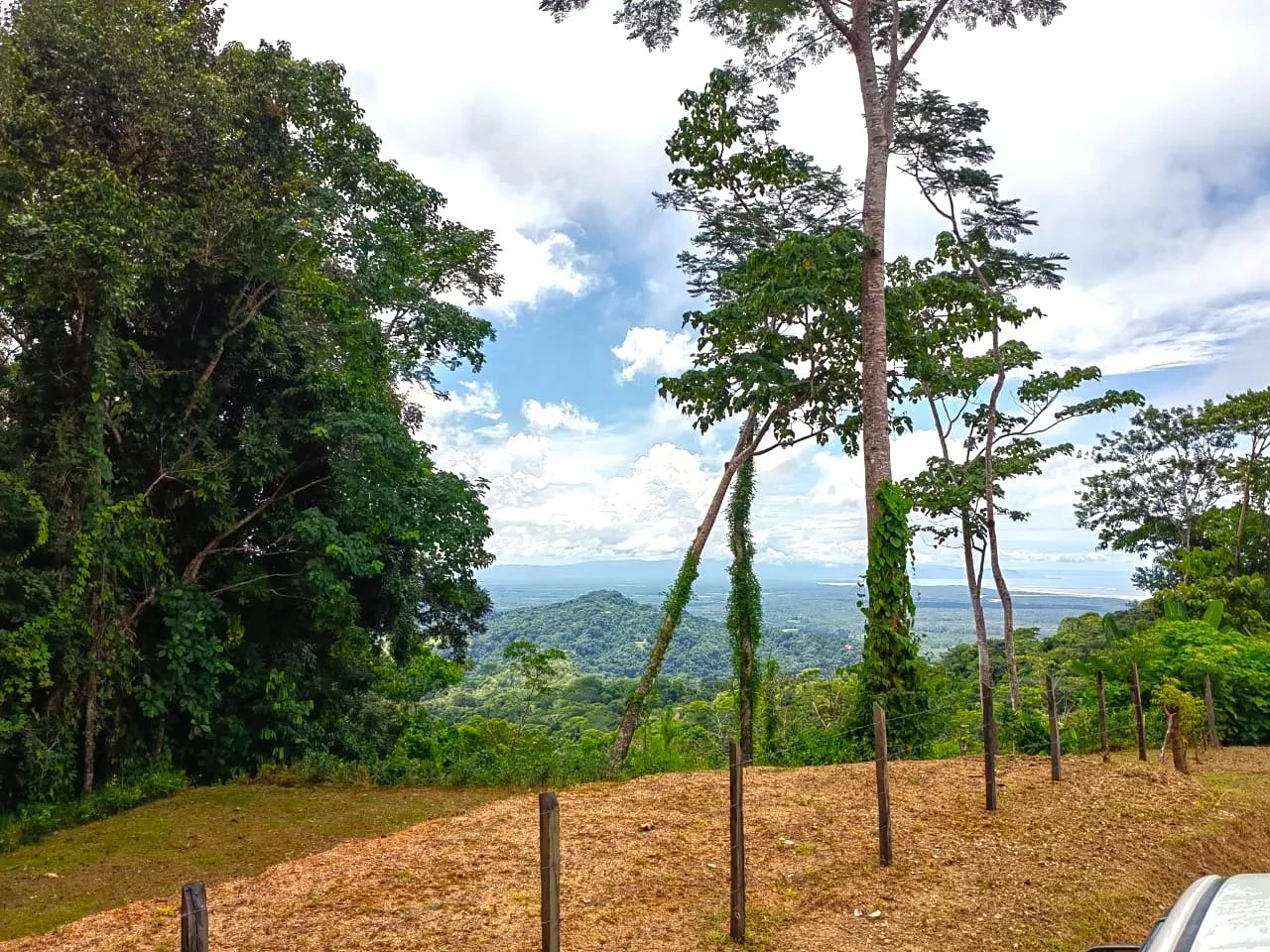 0.46 ACRES – Ocean View Land Just 4 Minutes Away From El Pavon Waterfall, Legal Water And Electricity Available & Ready To Build Site!!!: Mountain and Countryside Home Construction Site For Sale in Tr - Gallery image 11