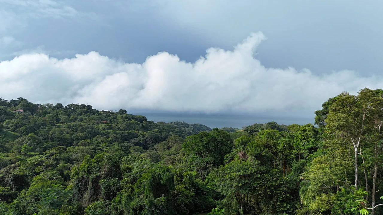 Exceptional Ocean & Mountain View Property in Pinuela Arriba, Costa Rica - Gallery image 6