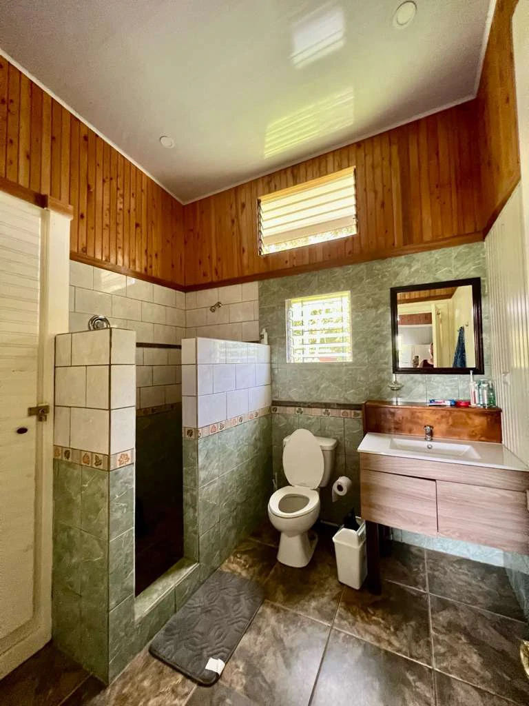 Tropical Organic Fruit Farm with 2 Bedroom Home - Gallery image 11