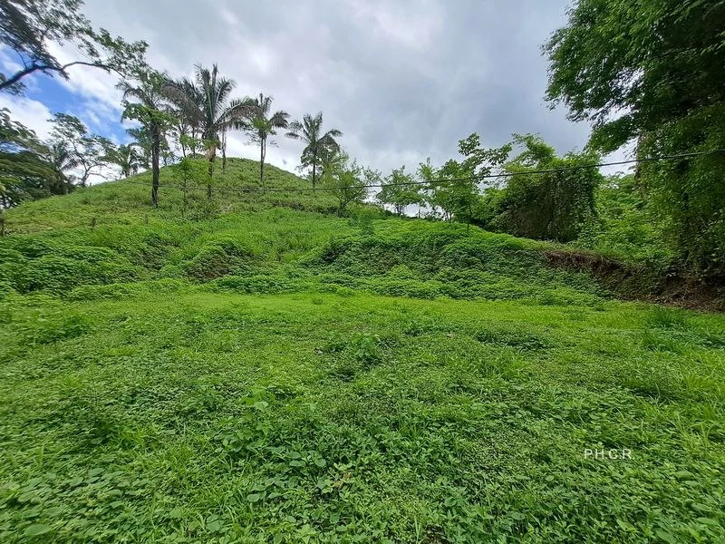 LOT SAN FERNANDO: San Fernando lot - 1024 m² building plot - affordable - flat - 10 minutes drive from Samara - Gallery image 2