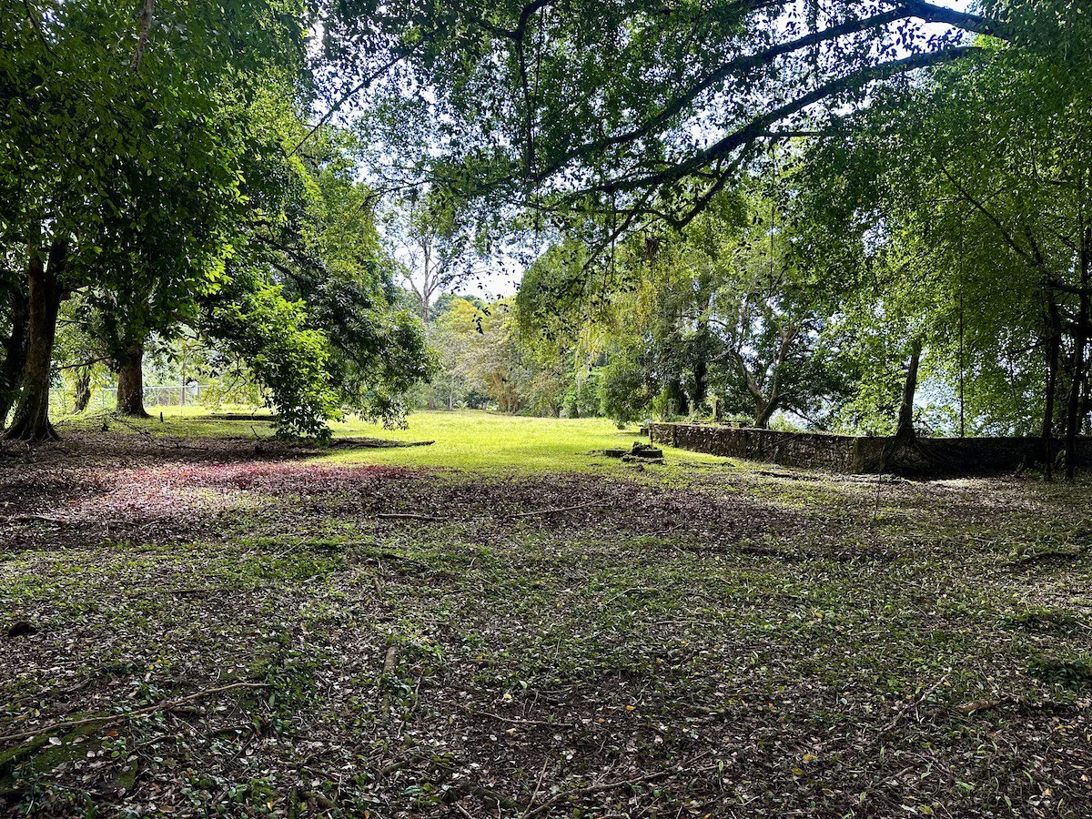 Titled Waterfront Property Golfito Bay - Gallery image 15