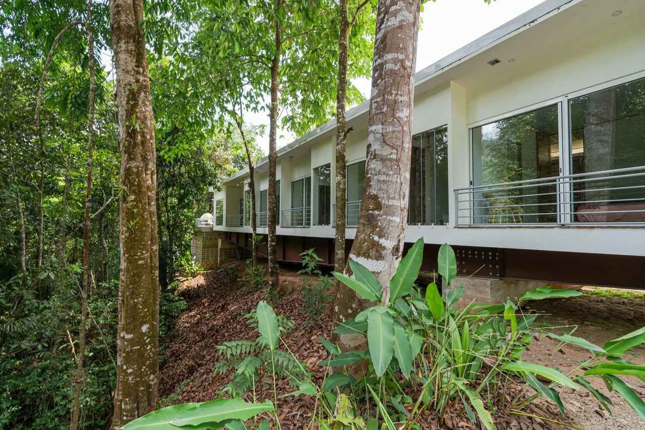 Casa Bromelia:  Brand-New 4 bed/4bath Modern Tropical Elegance North of Dominical - Gallery image 4