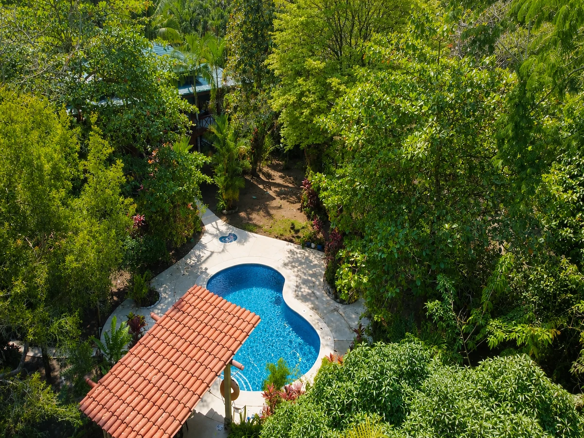 Tropical Beach Home – Sombrero, Osa Peninsula Costa Rica - Gallery image 21