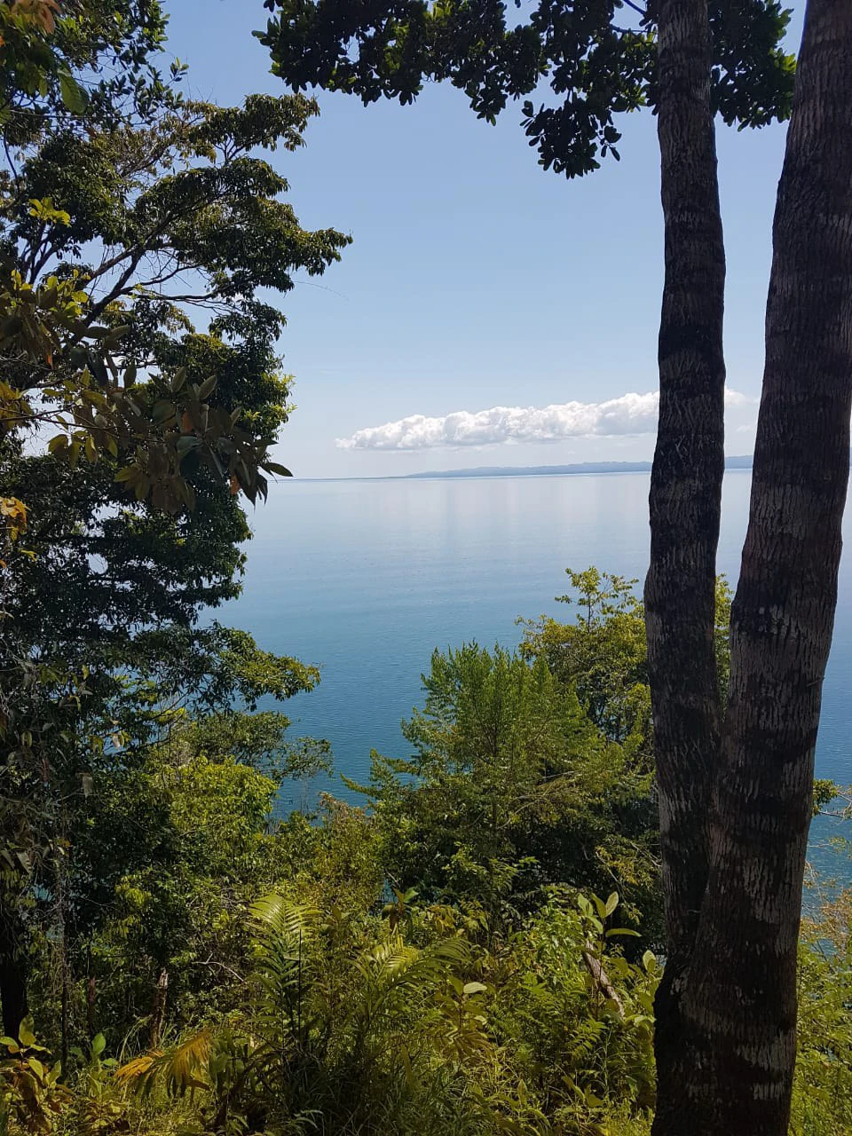 Nature Lover's Marina Resort Investment: Costa Rica South-Pacific Gulf Coast Marina, Rainforest Resort - Gallery image 7