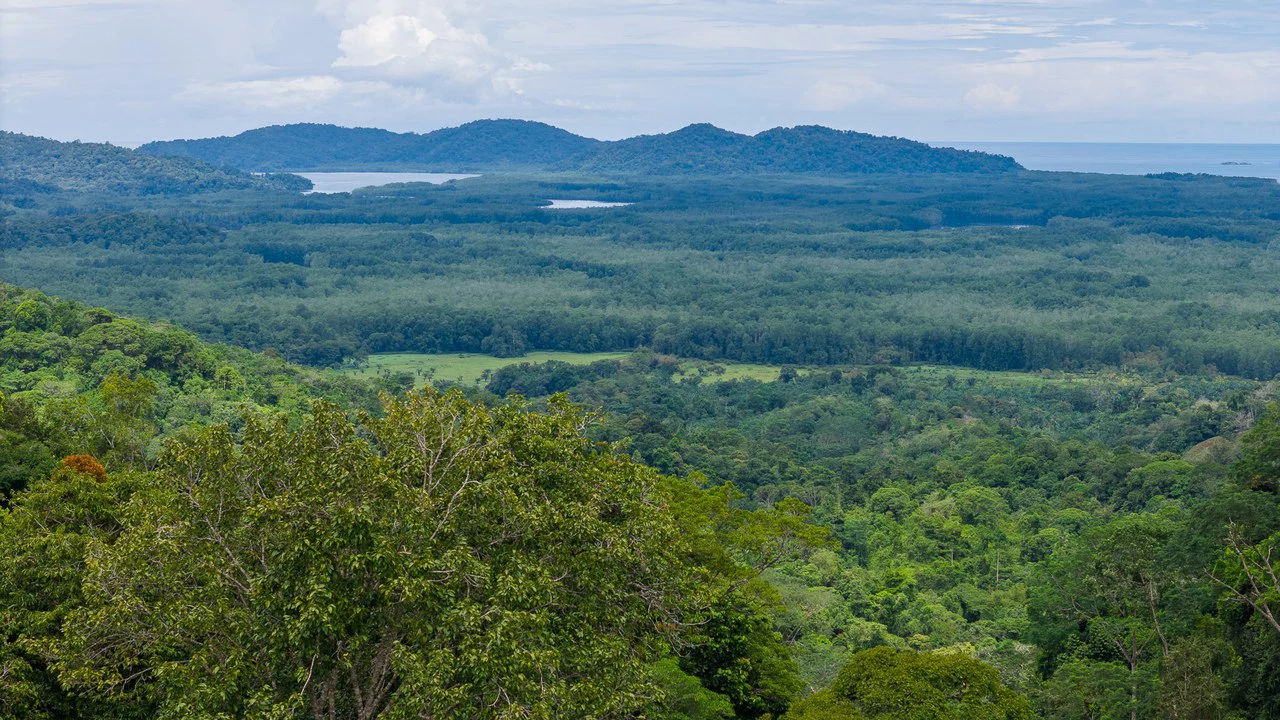 Costa Rican Gem with Conservation Potential: Preserve 26 Acres of Pristine Land - Gallery image 18