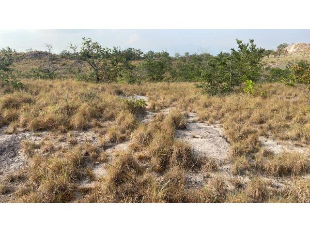 Zoning for homes, apartments, and warehouses in the mountains of Liberia, Beautiful 9.7 ha land with building permits - Gallery image 5