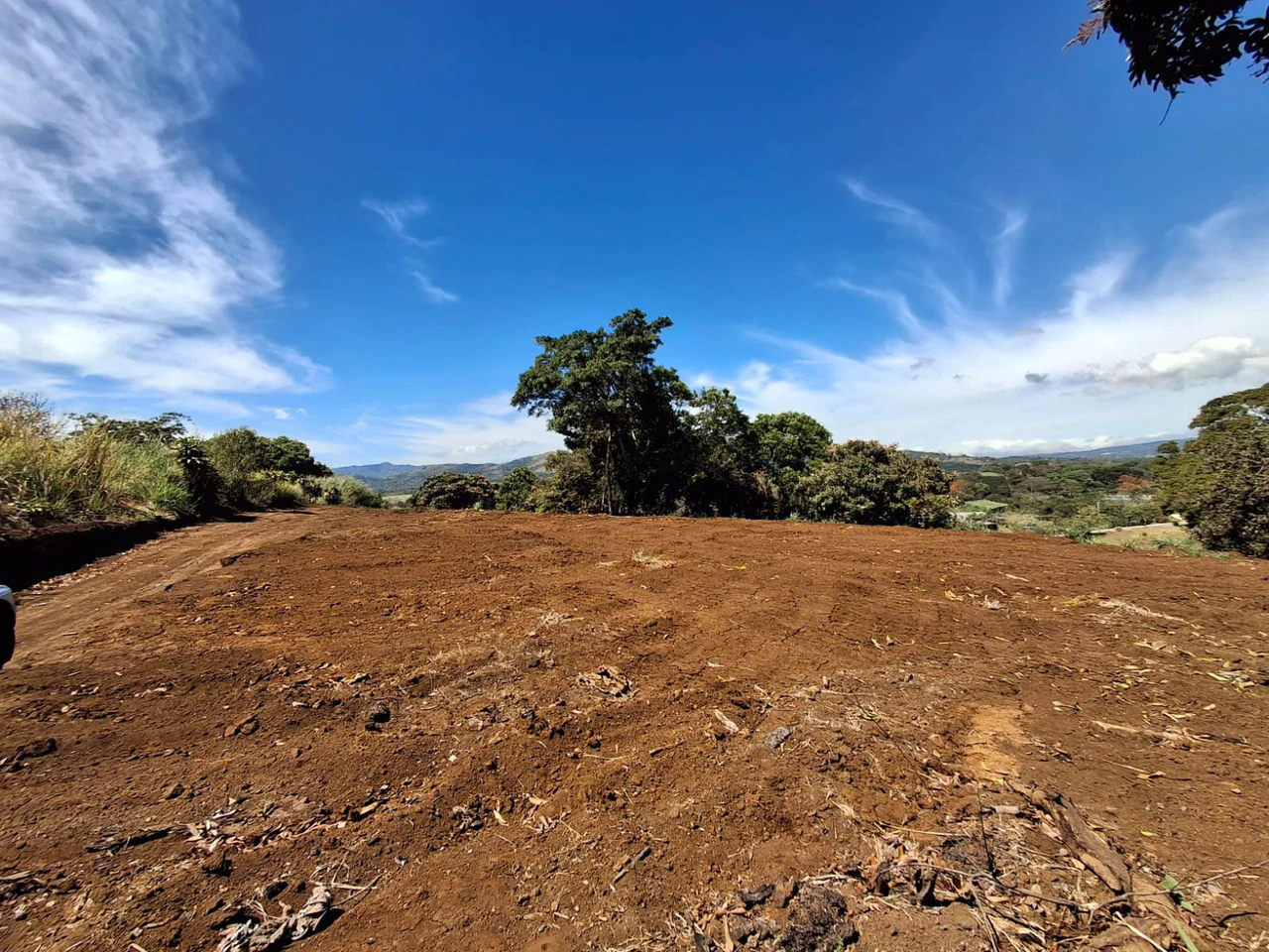 Location...Location...Location!: 2.500 m2 Commercial Property - Gallery image 6
