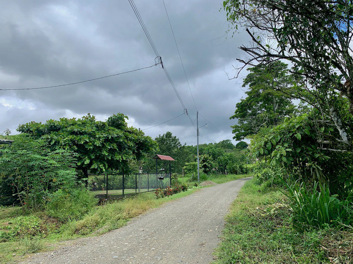 Jungle View Property in Osa Peninsula - Gallery image 3