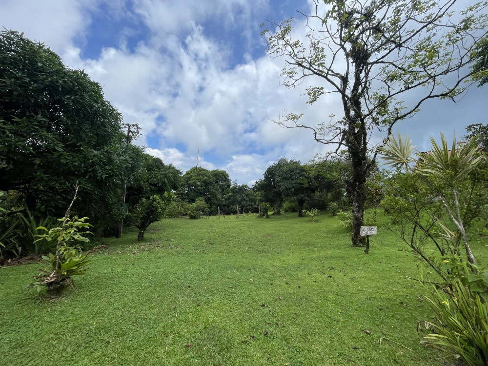 Nuevo arenal: Looking for a Property to Develop Family Residences with Lake Views? - Gallery image 19