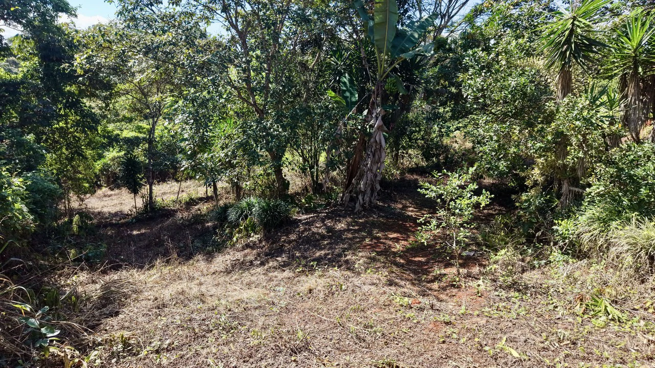 Home Construction Site For Sale in Pavones - Gallery image 24