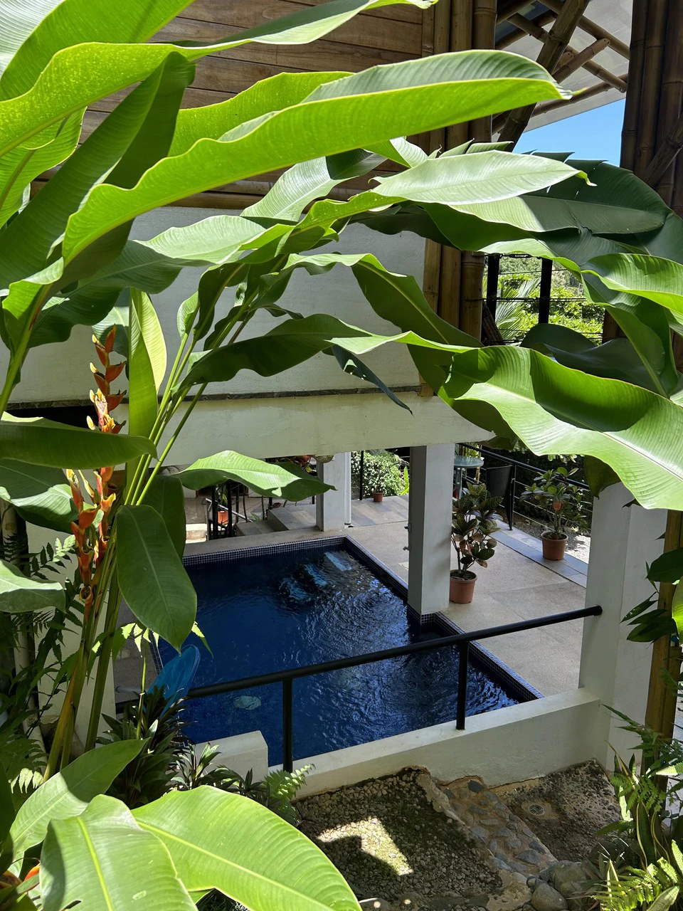 Cabinas Bambura: Cabinas Bambura: Successful Airbnb Business with Stunning Mountain & Jungle View - Gallery image 18