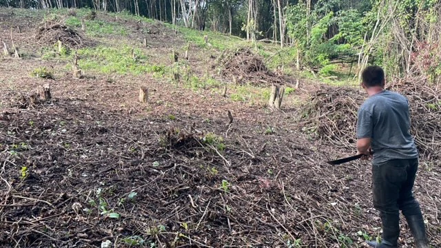 Beautiful Property for Sale in the Mountains of San Juanillo – Prime Land with Building Potential Just 10 Minutes from the Ocean - Gallery image 11