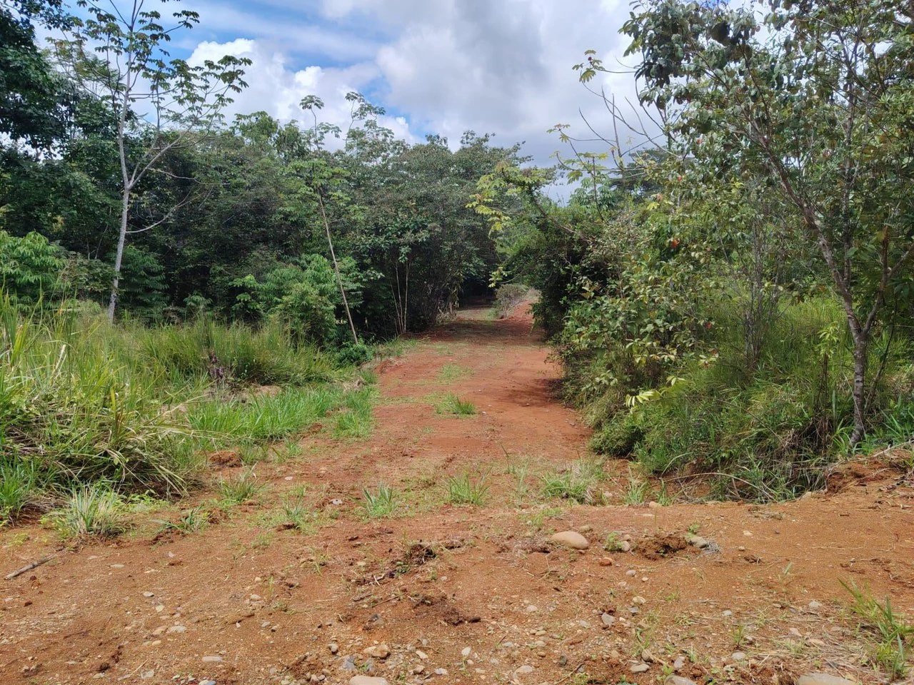 Se vende lote de 1000m2, ubicado cerca del colegio Aeropuerto Jerusalen, Perez Zeledon: Home Construction Site For Sale in Centro de Pérez Zeledón - Gallery image 9